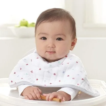 Aden and Anais - Burpy Bib (2 Set) - Liam The Brave