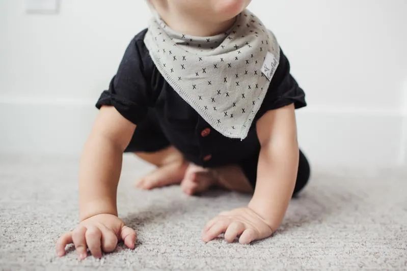 Alta Baby Bandana Bibs