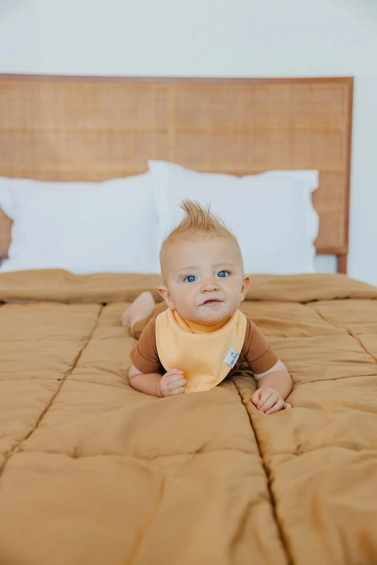 Baby Bandana Bibs - Bennie