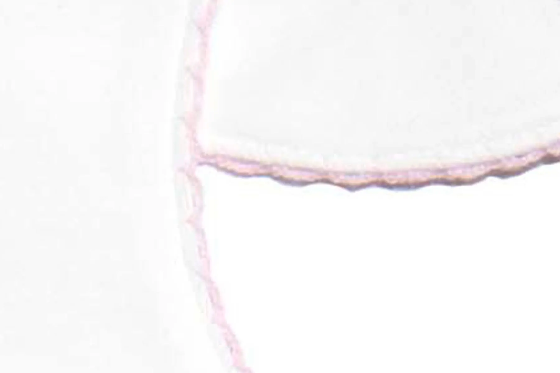 Classic Bib, White with Pink Trim
