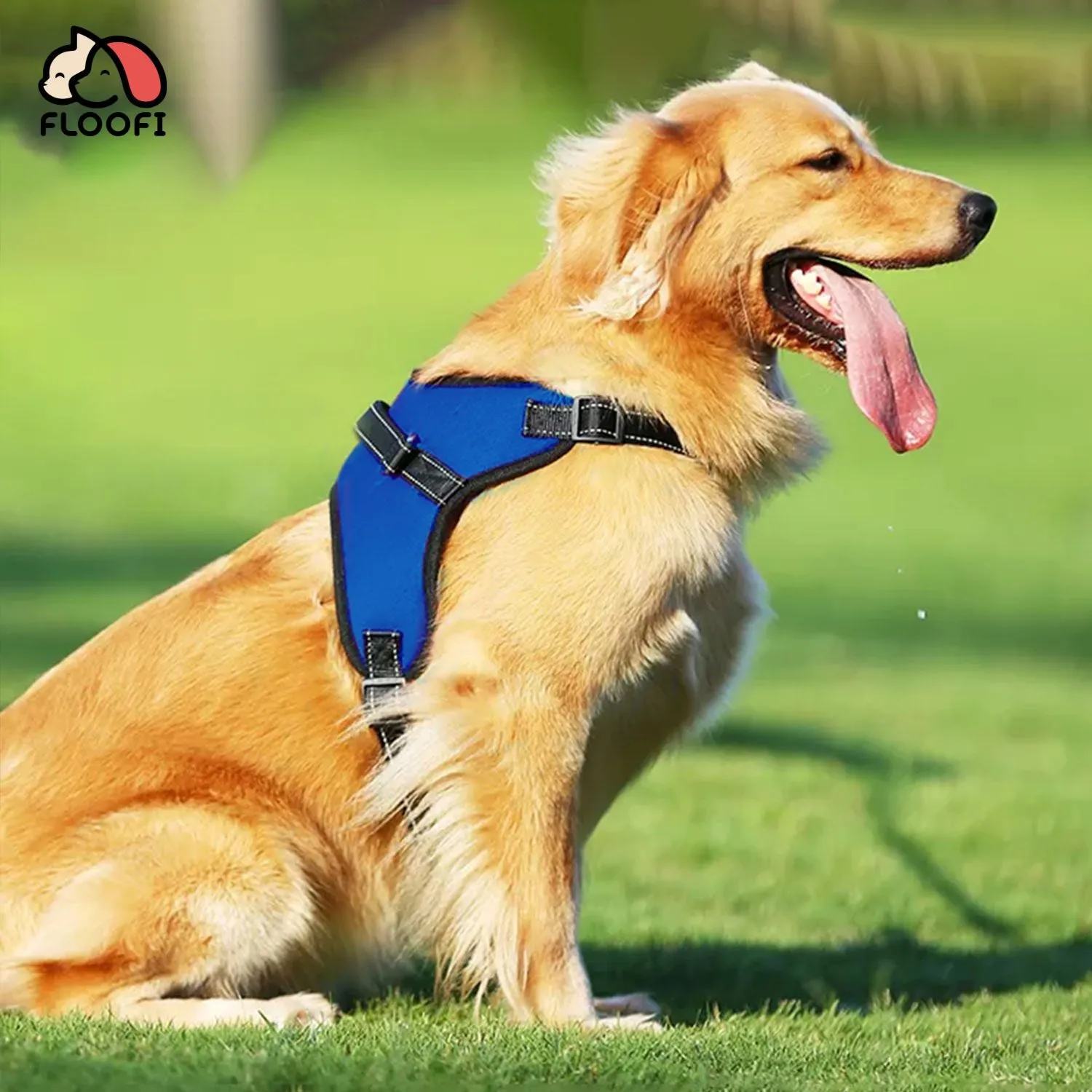 Durable Adjustable XL Dog Harness, Soft, Blue - FLOOFI
