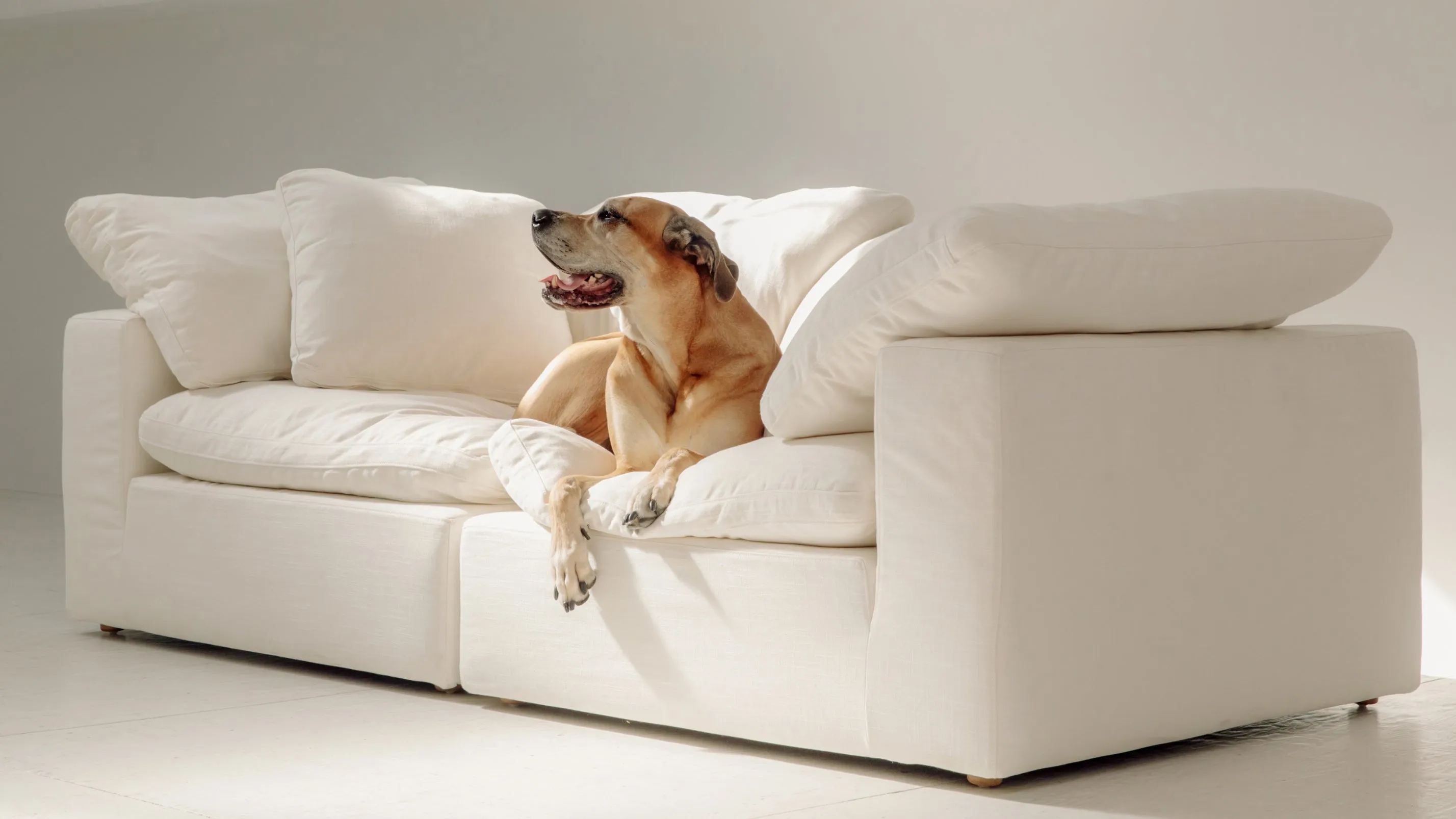 Movie Night™ 2-Piece Modular Sofa, Standard, Truffle