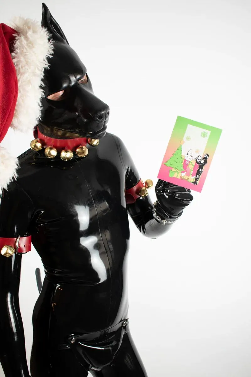 "Dog" Xmas Card Pack