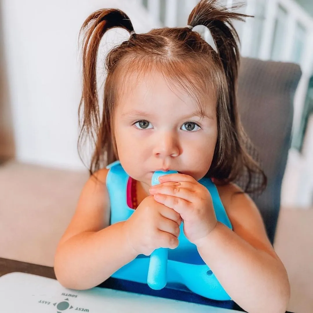 Roll & Go Silicone Bib   Spoon