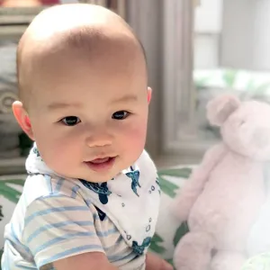 Sea Turtle Muslin Bandana Bib